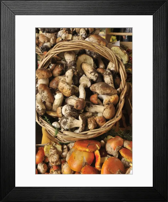 Framed Print : Mushrooms (Funghi) in a food market. Rome, Italy Framed Print : Mushrooms (Funghi) in a food market. Rome, Italy