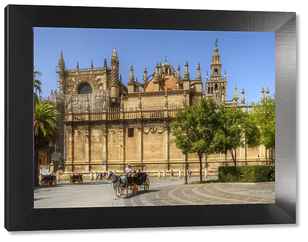 Carriage at Plaza del Triunfo with Cathedral, UNESCO World Heritage Site; Sevilla