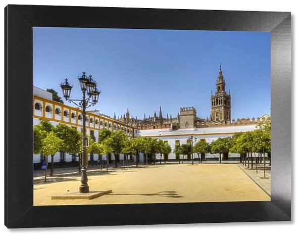 Court of Banderas with the Giralda tower of the Cathedral, UNESCO World Heritage Site