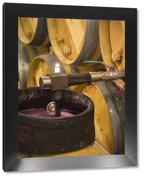 Spain, La Rioja, Haro. Checking the clarity of wine at Bodegas Muga