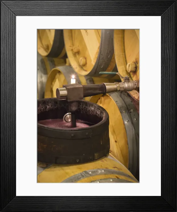 Framed Print : Spain, La Rioja, Haro. Checking the clarity of wine at Bodegas Muga Framed Print : Spain, La Rioja, Haro. Checking the clarity of wine at Bodegas Muga