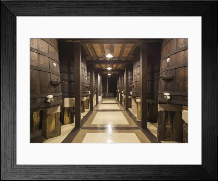 Framed Print : Spain, La Rioja, Haro. Original fermentation barrels at La Rioja Alta, a traditional