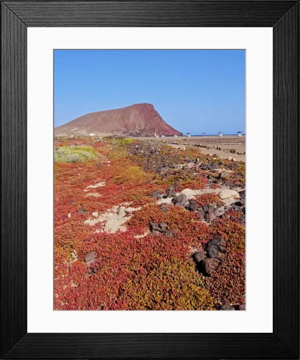 Framed Print : Spain, Canary Islands, Tenerife, La Tejita, View towards Montana Roja near El Medano Framed Print : Spain, Canary Islands, Tenerife, La Tejita, View towards Montana Roja near El Medano