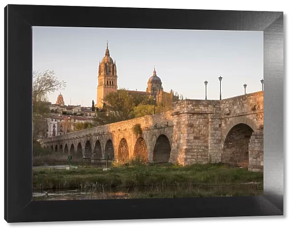 Bridge over Rio Tormes and Cathedral, Salamanca, Castilla y Leon, Spain, Europe