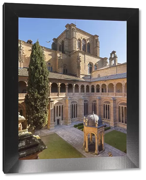 Inner courtyard of the Convent church of San Esteban, Salamanca, Castilla y Leon, Spain