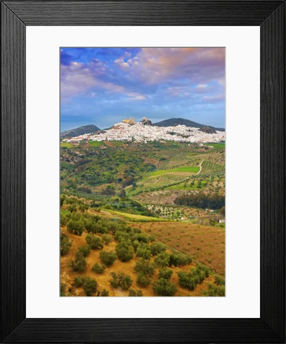 Framed Print : Spain, Andalucia, Cadiz province, Olvera, View over olive grove towards town Framed Print : Spain, Andalucia, Cadiz province, Olvera, View over olive grove towards town
