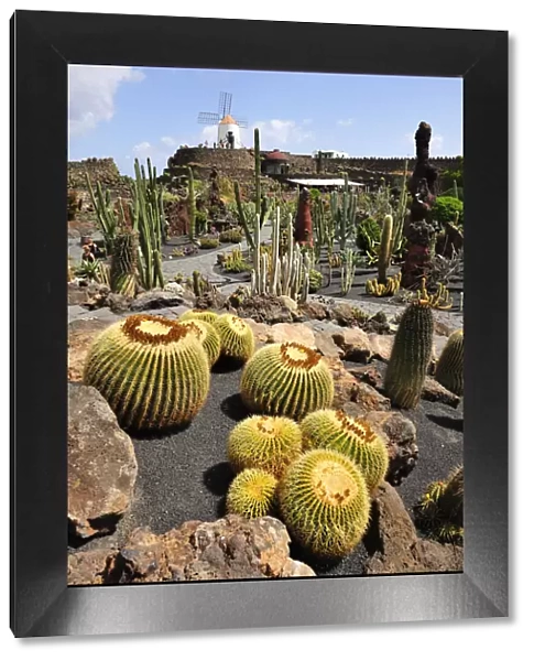 Jardin de Cactus (Cesar Manrique). Lanzarote, Canary islands