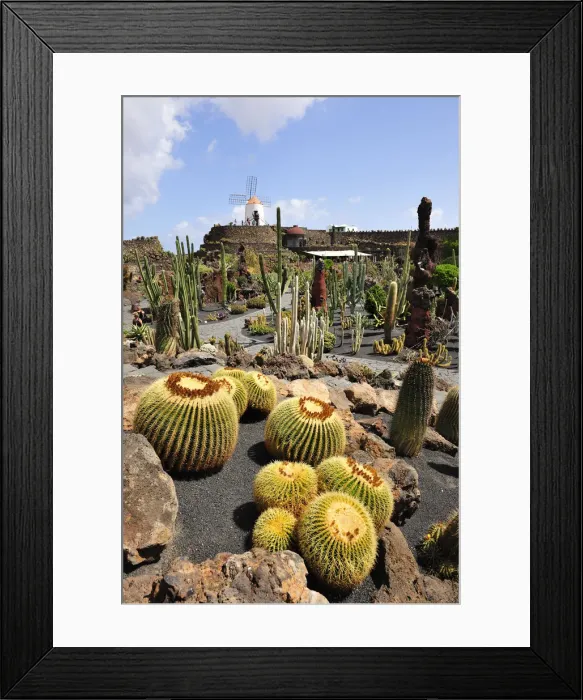 Framed Print : Jardin de Cactus (Cesar Manrique). Lanzarote, Canary islands Framed Print : Jardin de Cactus (Cesar Manrique). Lanzarote, Canary islands