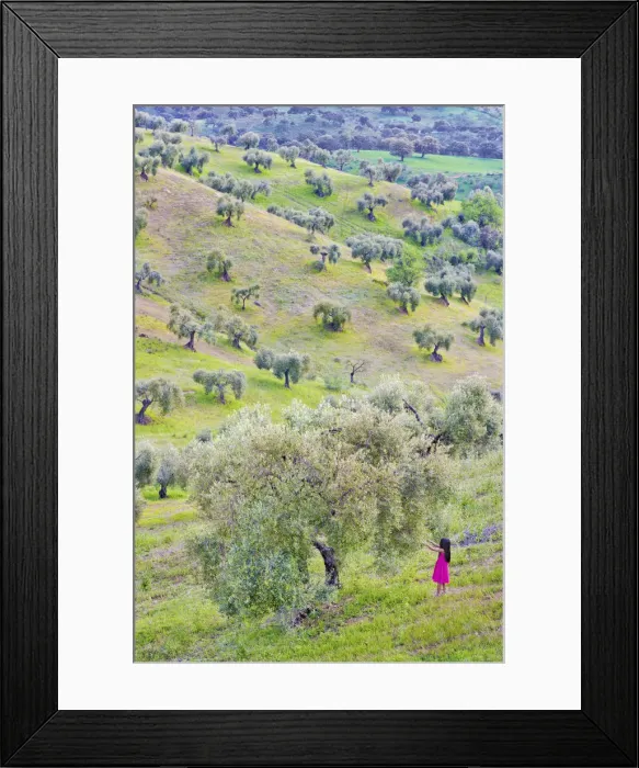 Framed Print : Spain, Andalucia, Granada province, girl in olive grove (MR) Framed Print : Spain, Andalucia, Granada province, girl in olive grove (MR)