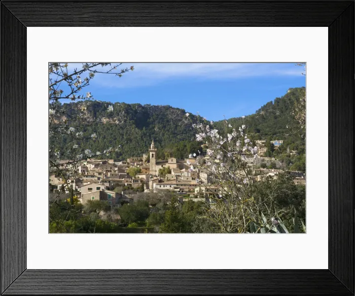 Framed Print : Almond Blossom, Valldemossa, Serra de Tramuntana, Majorca, Balearics, Spain