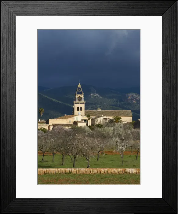 Framed Print : Almond Blossom nearby Santa Maria del Cami, Tramuntana, Majorca, Balearics, Spain Framed Print : Almond Blossom nearby Santa Maria del Cami, Tramuntana, Majorca, Balearics, Spain
