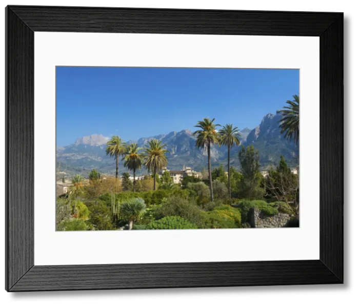 Framed Print : Botanical Garden in Soller, Serra de Tramuntana, Majorca, Balearics, Spain Framed Print : Botanical Garden in Soller, Serra de Tramuntana, Majorca, Balearics, Spain