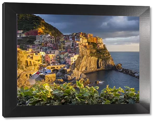 The coastal village of Manarola, Cinque Terre, Liguria, Italy