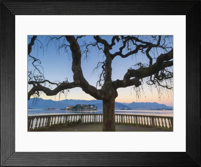 Framed Print : Isola bella seen from Stresas lake front. Lake Maggiore, Italy Framed Print : Isola bella seen from Stresas lake front. Lake Maggiore, Italy