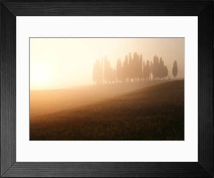 Framed Print : Italy, Tuscany, Siena district, Orcia Valley, Cypress on the hill near San Quirico Framed Print : Italy, Tuscany, Siena district, Orcia Valley, Cypress on the hill near San Quirico