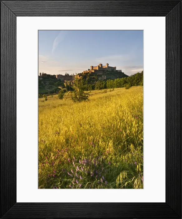 Framed Print : Italy, Umbria, Perugia district, Spoleto, Rocca Albornoz Framed Print : Italy, Umbria, Perugia district, Spoleto, Rocca Albornoz