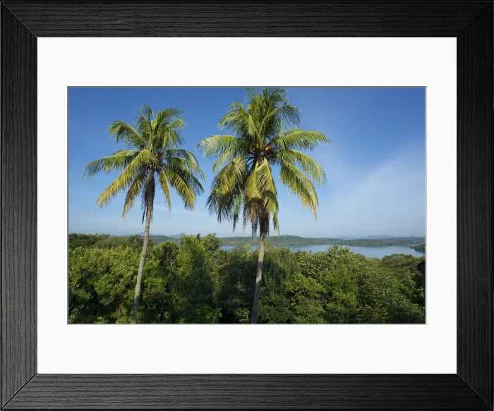 Framed Print : Minneriya Girotale Sanctuary, Sri Lanka Framed Print : Minneriya Girotale Sanctuary, Sri Lanka