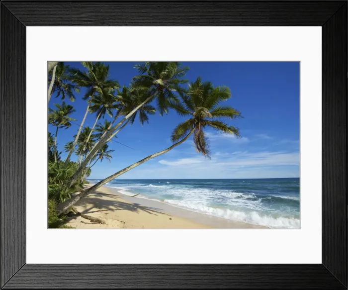 Framed Print : Beach, Mirissa, Sri Lanka Framed Print : Beach, Mirissa, Sri Lanka