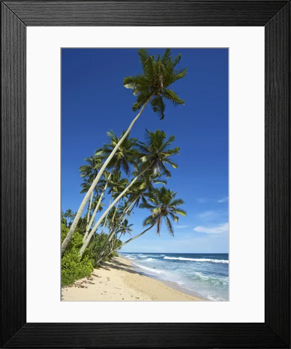 Framed Print : Beach, Mirissa, Sri Lanka Framed Print : Beach, Mirissa, Sri Lanka