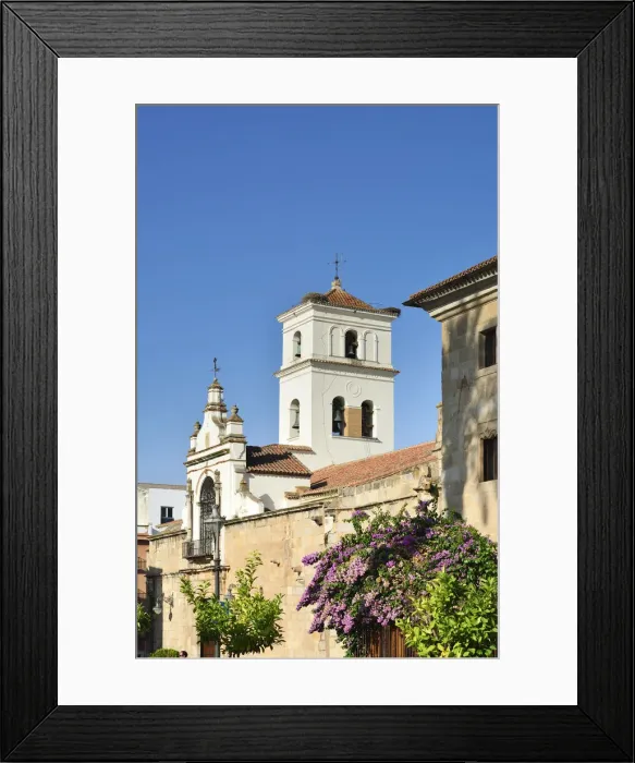 Framed Print : Santa Maria la Mayor cathedral (Santa Iglesia Catedral Metropolitana de Santa Maria Framed Print : Santa Maria la Mayor cathedral (Santa Iglesia Catedral Metropolitana de Santa Maria