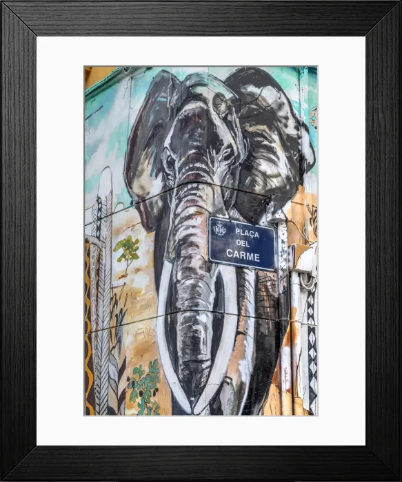 Framed Print : Art graffiti, El Carmen neighborhood, Valencia, Comunidad Valenciana, Spain Framed Print : Art graffiti, El Carmen neighborhood, Valencia, Comunidad Valenciana, Spain