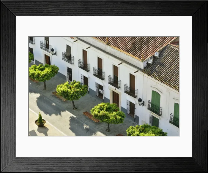 Framed Print : Orange trees decorate the streets of Olivenza. Extremadura, Spain Framed Print : Orange trees decorate the streets of Olivenza. Extremadura, Spain