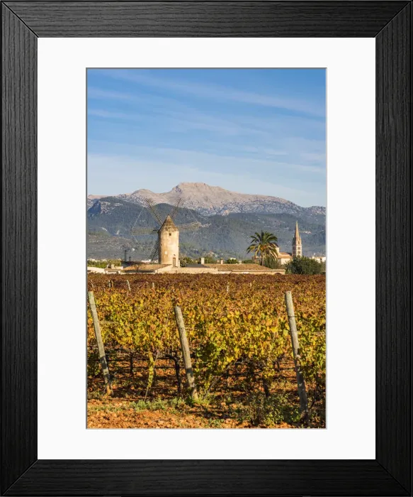 Framed Print : Vineyards in Binissalem, Majorca, Balearic Islands, Spain Framed Print : Vineyards in Binissalem, Majorca, Balearic Islands, Spain