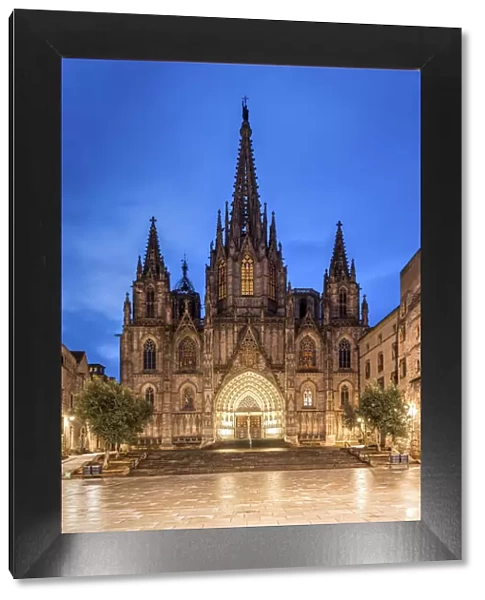 Night view of the Cathedral of the Holy Cross and Saint Eulalia, Barcelona, Catalonia
