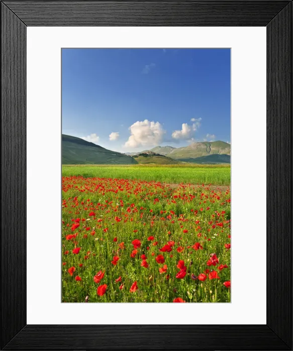 Framed Print : Italy, Umbria, Perugia district, Monti Sibillini NP, Norcia, Castelluccio Framed Print : Italy, Umbria, Perugia district, Monti Sibillini NP, Norcia, Castelluccio