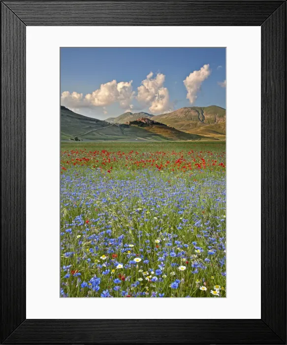 Framed Print : Italy, Umbria, Perugia district, Monti Sibillini NP, Norcia, Castelluccio