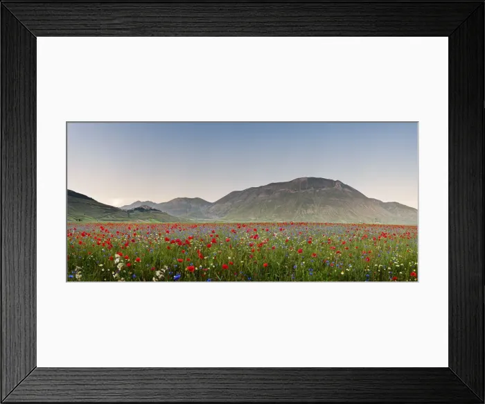 Framed Print : Italy, Umbria, Perugia district, Monti Sibillini NP, Norcia, Castelluccio Framed Print : Italy, Umbria, Perugia district, Monti Sibillini NP, Norcia, Castelluccio