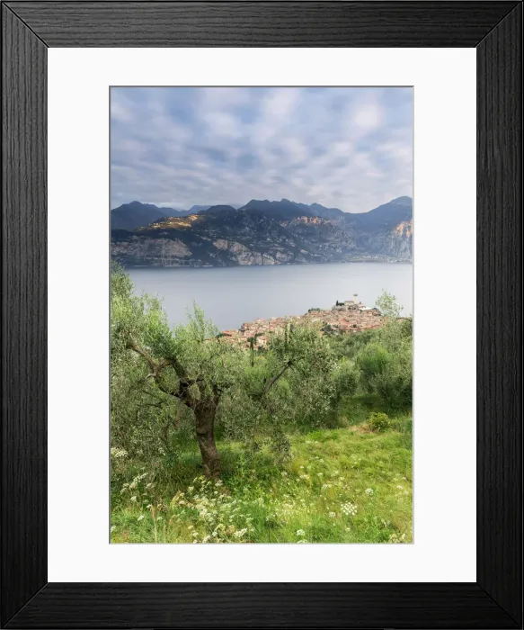 Framed Print : Italy. Veneto. Verona district. Lake Garda. Malcesine. Scaligero castle Framed Print : Italy. Veneto. Verona district. Lake Garda. Malcesine. Scaligero castle