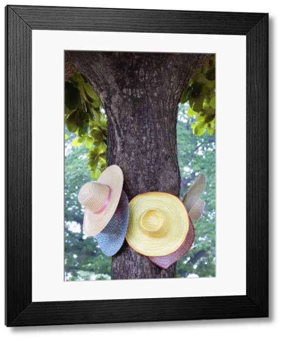 Framed Print : Thailand, Ayutthaya, Wat Chai Watthanaram, Hats hanging from tree