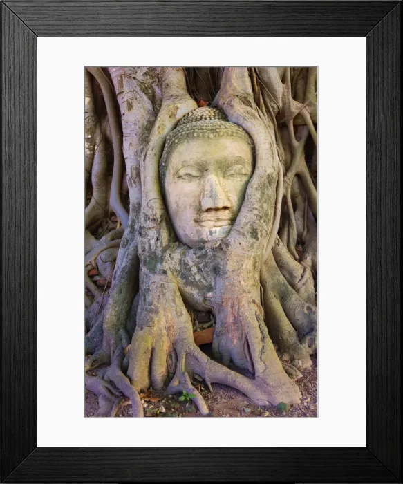 Framed Print : Thailand, Ayutthaya, Wat Mahathat, Buddha head in tree Framed Print : Thailand, Ayutthaya, Wat Mahathat, Buddha head in tree