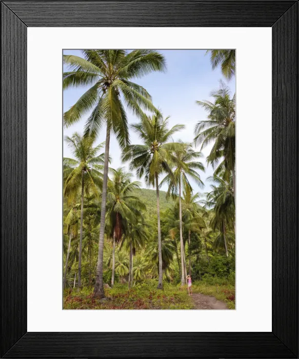 Framed Print : Thailand, Ko Samui, Woman photographing jungle MR Framed Print : Thailand, Ko Samui, Woman photographing jungle MR