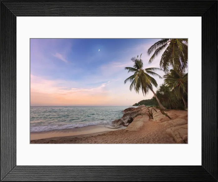 Framed Print : Thailand, Ko Samui, Chaweng beach, Palm tree overhanging sea Framed Print : Thailand, Ko Samui, Chaweng beach, Palm tree overhanging sea