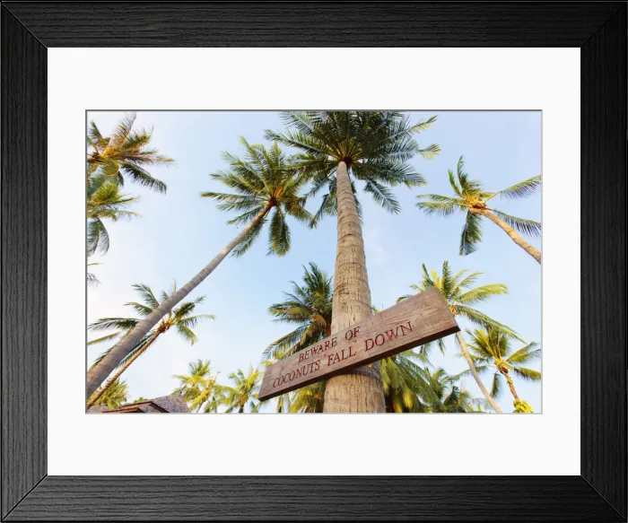 Framed Print : Thailand, Ko Samui, Chaweng beach, Sign on palm tree