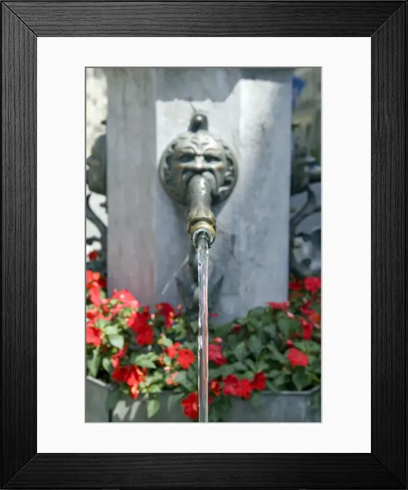 Framed Print : A decorative fountain in Bern, Switzerland Framed Print : A decorative fountain in Bern, Switzerland