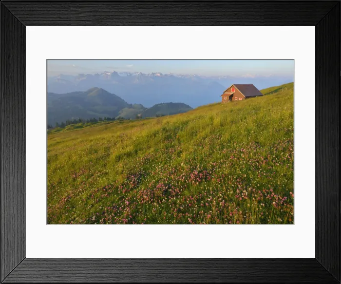 Framed Print : On top of Mount Rigi, Switzerland, North-Eastern Swiss Alps, Europe Framed Print : On top of Mount Rigi, Switzerland, North-Eastern Swiss Alps, Europe