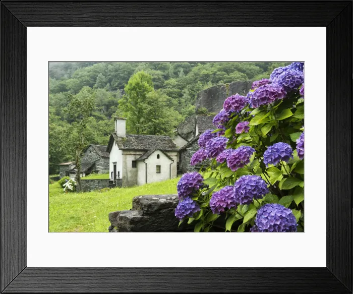 Framed Print : Europe, Switzerland, Ticino, Val Bavona a picturesque Village in Sabbione Framed Print : Europe, Switzerland, Ticino, Val Bavona a picturesque Village in Sabbione