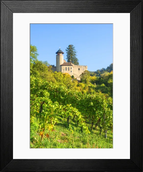Framed Print : Birseck castle, Arlesheim, Basel-Country, Switzerland Framed Print : Birseck castle, Arlesheim, Basel-Country, Switzerland