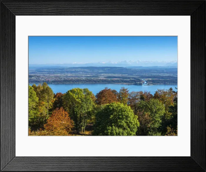 Framed Print : Lake Biel with Bernese Alps, Bern, Switzerland