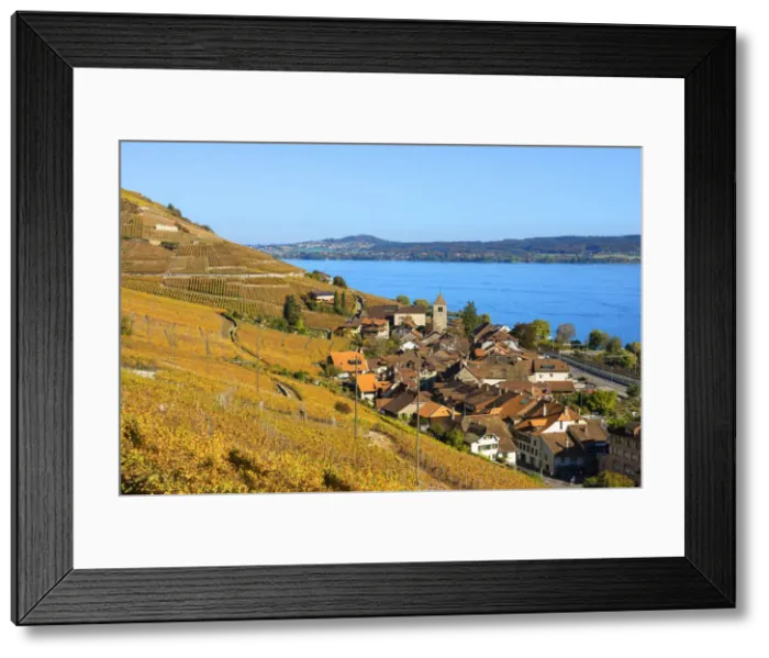 Framed Print : Twann and Lake Biel, Bern, Switzerland