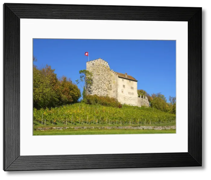 Framed Print : The Habsburg, ancestral seat of the Habsburg dynasty, Habsburg, Aargau, Switzerland Framed Print : The Habsburg, ancestral seat of the Habsburg dynasty, Habsburg, Aargau, Switzerland