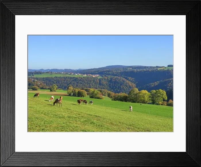 Framed Print : Saulcy, Parc du Doubs, Jura, Switzerland Framed Print : Saulcy, Parc du Doubs, Jura, Switzerland