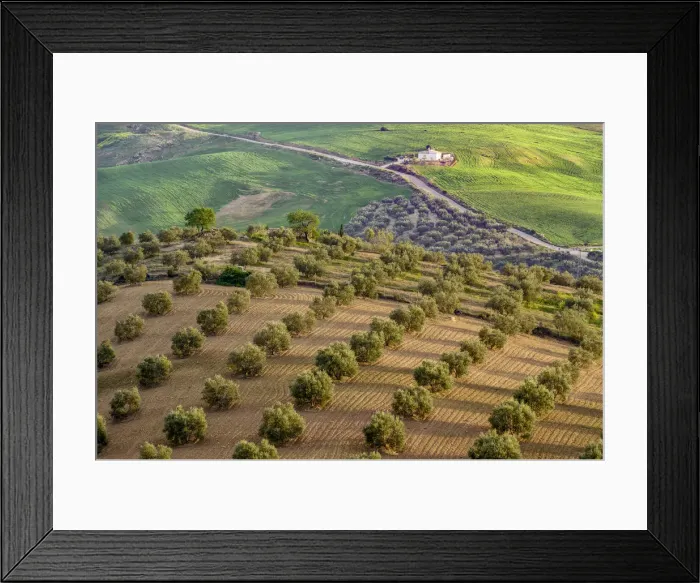 Framed Print : Spain, Andalusia, landscape near Antequera Framed Print : Spain, Andalusia, landscape near Antequera