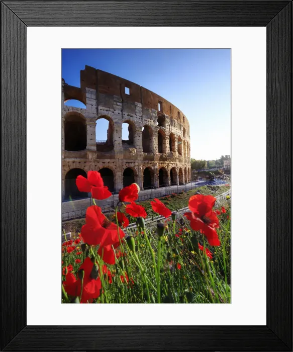 Framed Print : Italy, Rome, Colosseum and Roman Forum at sunrise with red poppies in the foreground Framed Print : Italy, Rome, Colosseum and Roman Forum at sunrise with red poppies in the foreground