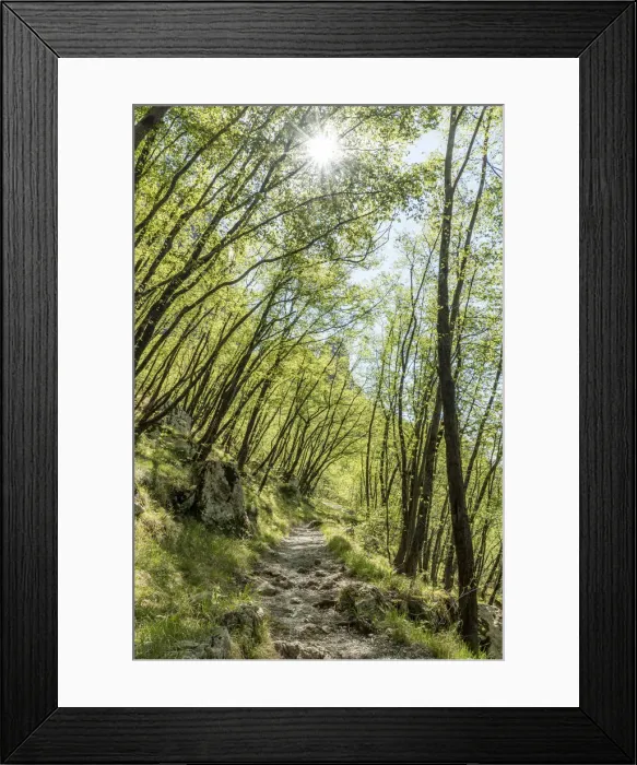 Framed Print : europe, Italy, Tuscany. A path in the Apuan mountains Framed Print : europe, Italy, Tuscany. A path in the Apuan mountains