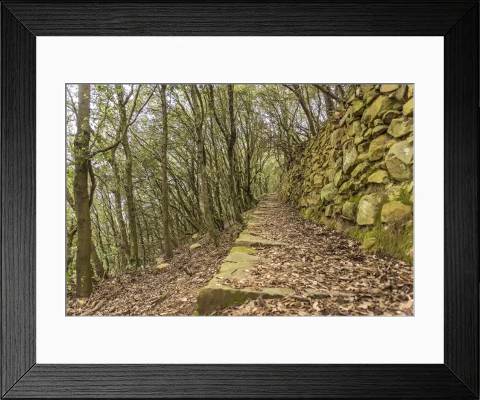 Framed Print : europe, Italy, Liguria. footpath in the Cinque Terre Framed Print : europe, Italy, Liguria. footpath in the Cinque Terre