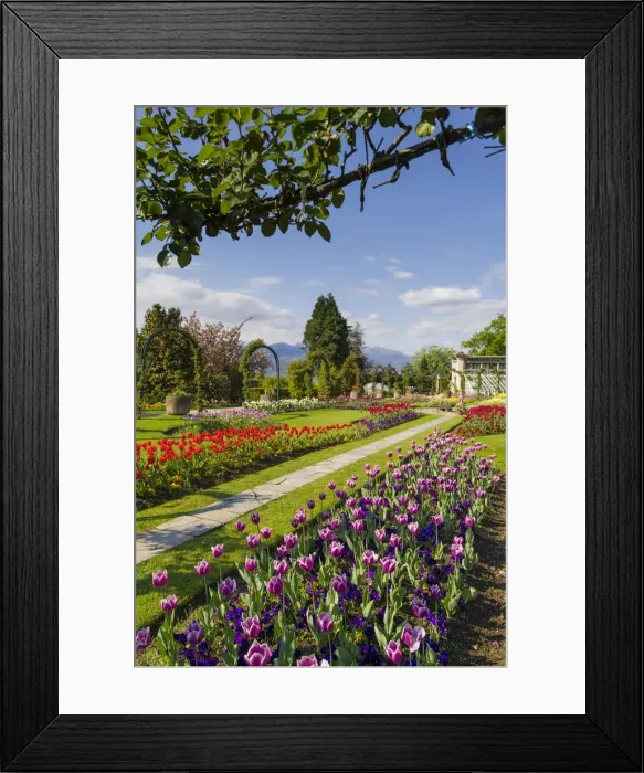 Framed Print : Villa Pallavicino, Stresa, Lake Maggiore, Piedmont, Italy